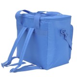 Bolsa / Mochila Termica Porta Alimentos Nevera 15 Litros Forro Interior PEVA, Con Espuma Aislante, Color Azul al por Mayor | Alm