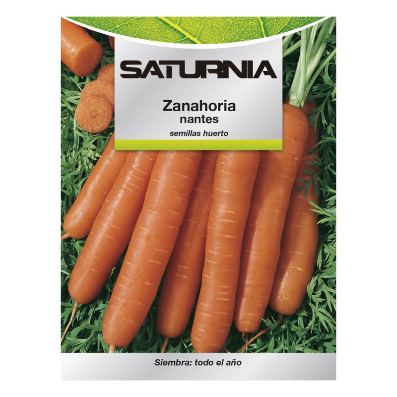 Semillas Zanahoria Nantes Temprana (7 Gramos), Semillas Verduras, Horticultura, Horticola, Semillas Huerto,