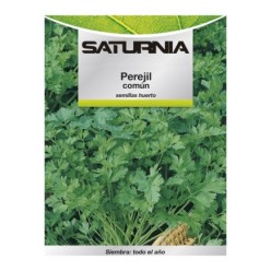 Semillas Perejil Comun (8 gramos) Semillas Verduras, Horticultura, Horticola, Semillas Huerto,