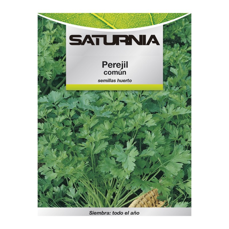 Semillas Perejil Comun (8 gramos) Semillas Verduras, Horticultura, Horticola, Semillas Huerto,