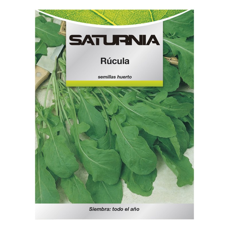 Semillas Rucula (9 gramos) Semillas Verduras, Horticultura, Horticola, Semillas Huerto,