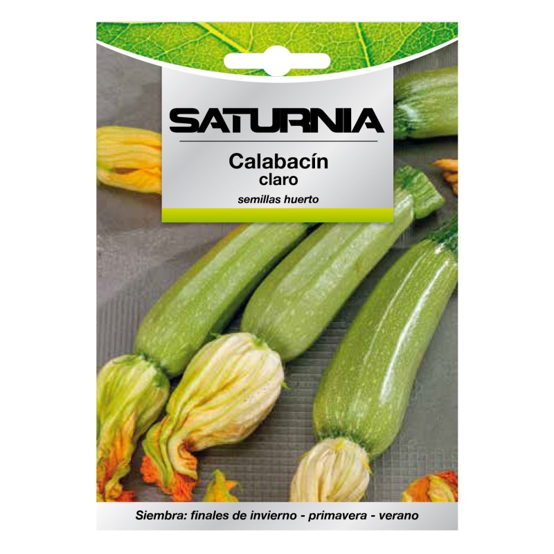Semillas Calabacin Verde Oscuro (5 gramos) Semillas Verduras, Horticultura, Horticola, Semillas Huerto,