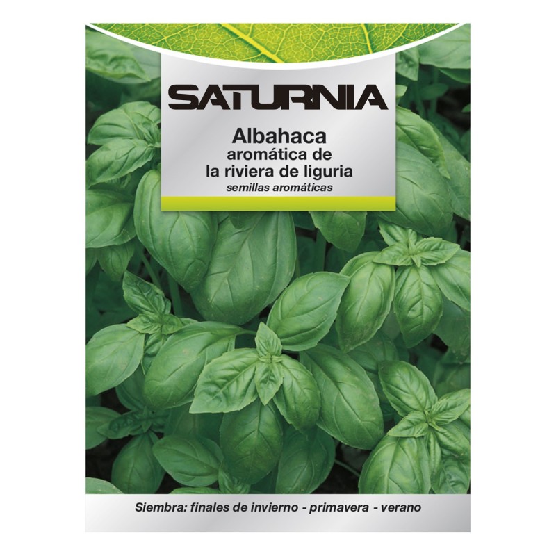 Semillas Aromáticas Albahaca Aromatica (5 gramos) Horticultura, Horticola, Semillas Huerto,