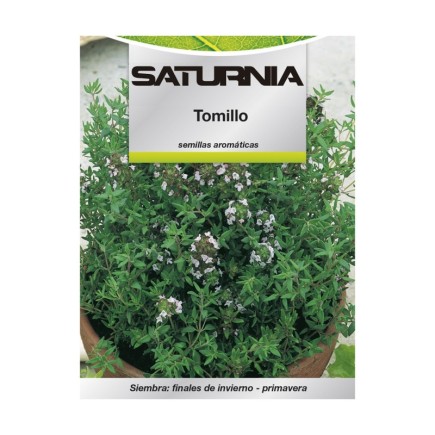 Semillas Aromaticas Tomillo (1 gramo) Horticultura, Horticola, Semillas Huerto,