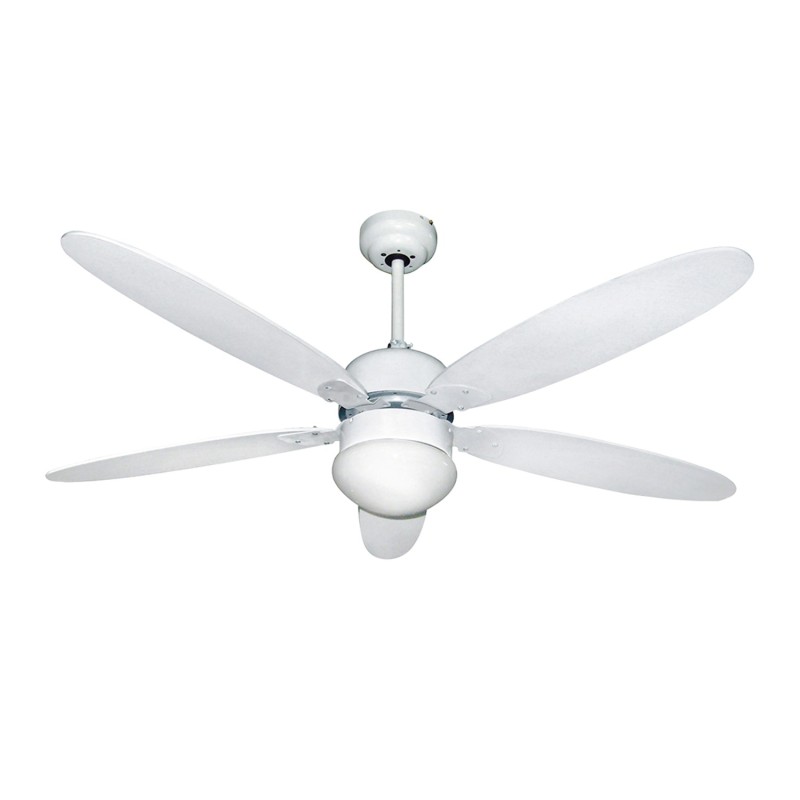 Ventilador Techo Ø 124 cm, 70 Watt, Con Luz y Mando A Distancia 5 Aspas y 3 Velocidades, Con temporizador