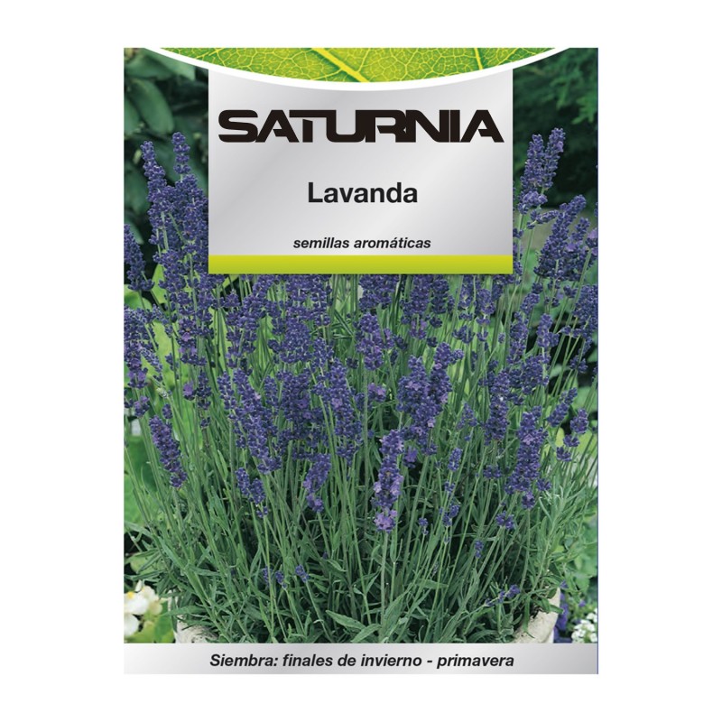 Semillas Aromaticas Lavanda (0,5 gramos) Horticultura, Horticola, Semillas Huerto,