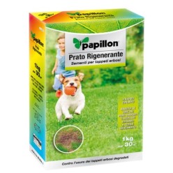 Semillas Cesped Repoblador 1 Kg,
