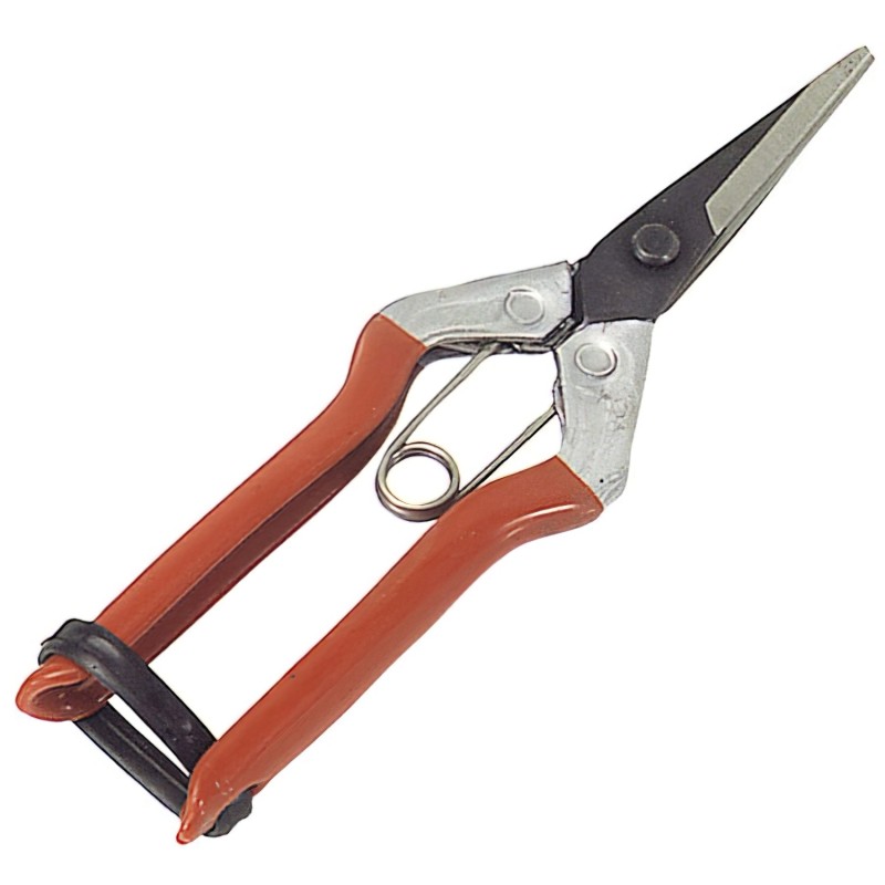 Tijeras Recolectar Uvas  1 Mano  P 1552   180 mm,