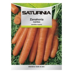 Semillas Zanahoria Nantes Temprana (7 Gramos), Semillas Verduras, Horticultura, Horticola, Semillas Huerto,