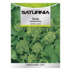 Semillas Grelo Brocoli (10 gramos) Semillas Verduras, Horticultura, Horticola, Semillas Huerto,