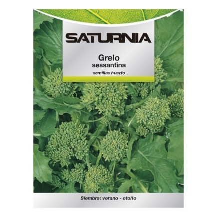 Semillas Grelo Brocoli (10 gramos) Semillas Verduras, Horticultura, Horticola, Semillas Huerto,