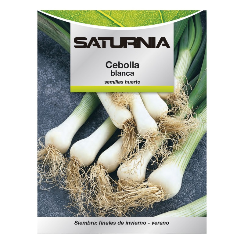 Semillas Cebolla Blanca (4 gramos) Semillas Verduras, Horticultura, Horticola, Semillas Huerto,