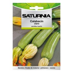 Semillas Calabacin Verde Oscuro (5 gramos) Semillas Verduras, Horticultura, Horticola, Semillas Huerto,