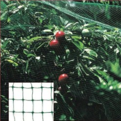 Malla Antipajaros (Rollo 2 x 10 Metros) Red Proteger Arboles, Cultivos, Frutas,
