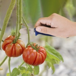 Cuchillo Recolectar Tomates / Pepinos 13,5 cm, Cuchillo Corta Tomates, Cuchillo Pepinos, Cuchillo Cortador Pepinos,