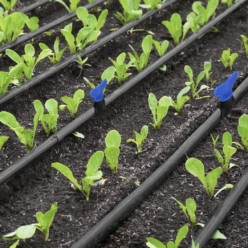 Llave De Paso Extra Para Tuberias Goteo Ø 16 mm, (Bolsa 50 Piezas) Riego Por Goteo, Microaspersión, Riego Por Nebulizacion