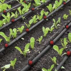 Gotero Regulable Gran Caudal Riego Por Goteo (Bolsa 100 Piezas) Riego Por Goteo, Microaspersión, Riego Por Nebulizacion