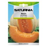 Semillas Melon Cantalupo (3 gramos) Semillas Frutas, Horticultura, Horticola, Semillas Huerto, al por Mayor | Almacén de Ferrete