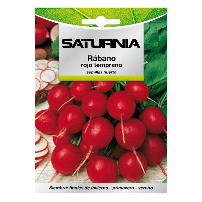 Semillas Rabano Rojo Temprano (8 gramos) Semillas Verduras, Horticultura, Horticola, Semillas Huerto, al por Mayor | Almacén de 