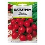Semillas Rabano Rojo Temprano (8 gramos) Semillas Verduras, Horticultura, Horticola, Semillas Huerto, al por Mayor | Almacén de 