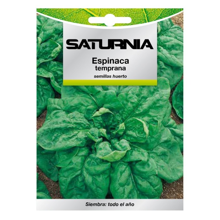 Semillas Espinaca Temprana (8 gramos) Semillas Verduras, Horticultura, Horticola, Semillas Huerto, al por Mayor | Almacén de Fer
