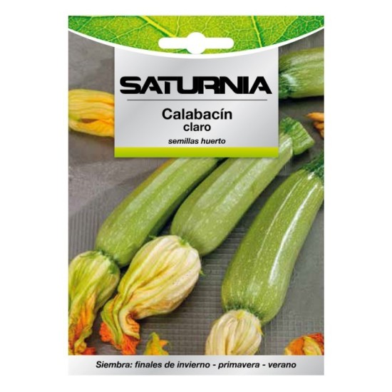 Semillas Calabacin Verde Oscuro (5 gramos) Semillas Verduras, Horticultura, Horticola, Semillas Huerto, al por Mayor | Almacén d
