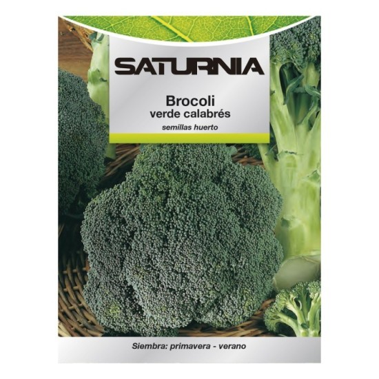 Semillas Huerto Brocoli al por Mayor | Almacén de Ferretería