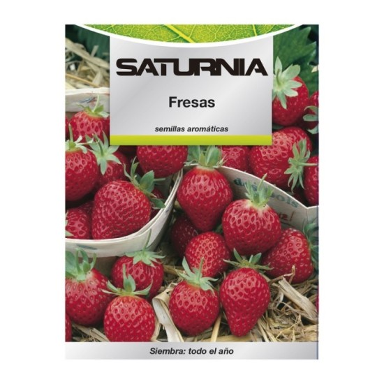 Semillas Huerto Fresas al por Mayor | Almacén de Ferretería