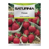 Semillas Huerto Fresas al por Mayor | Almacén de Ferretería