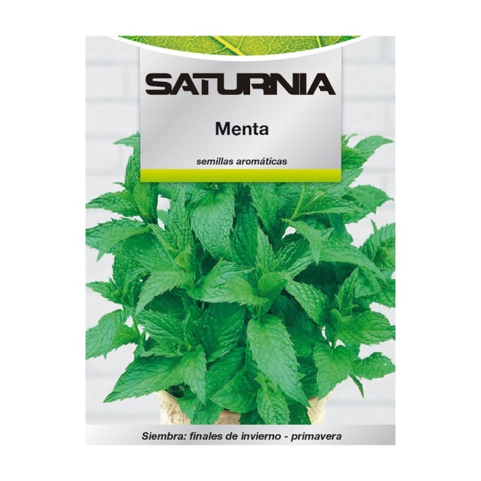 Semillas Aromaticas Menta (0,3 gramos) Horticultura, Horticola, Semillas Huerto, al por Mayor | Almacén de Ferretería