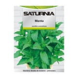 Semillas Aromaticas Menta (0,3 gramos) Horticultura, Horticola, Semillas Huerto, al por Mayor | Almacén de Ferretería