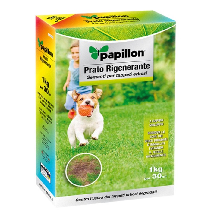 Semillas Cesped Repoblador 1 Kg, al por Mayor | Almacén de Ferretería