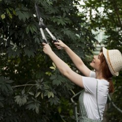 Tijeras Podar Setos 2 Manos Aluminio 63 cm, Hojas Acero Antiadherente, Mango TPR, Ajuste Corte