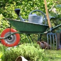 Rueda Carretilla Obra / Jardin Maciza Llanta Acero "Plus" Naranja Impinchable, Para Eje Ø 19 mm Rueda Ø 35 cm