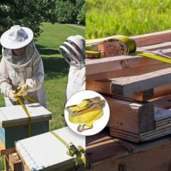 Cinta De Amarre Con Ratchet 12 metros x 50 mm, Trinquete Metalico Automatico, Cincha, Eslinga Mercancia, Correa Sujeción