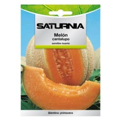 Semillas Melon Cantalupo (3 gramos) Semillas Frutas, Horticultura, Horticola, Semillas Huerto,