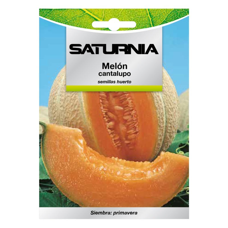 Semillas Melon Cantalupo (3 gramos) Semillas Frutas, Horticultura, Horticola, Semillas Huerto,