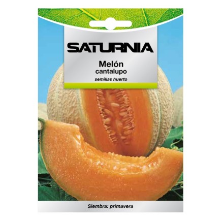 Semillas Melon Cantalupo (3 gramos) Semillas Frutas, Horticultura, Horticola, Semillas Huerto,