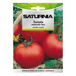 Semillas Tomate Redondo Liso (1 gramo) Semillas Verduras, Horticultura, Horticola, Semillas Huerto,