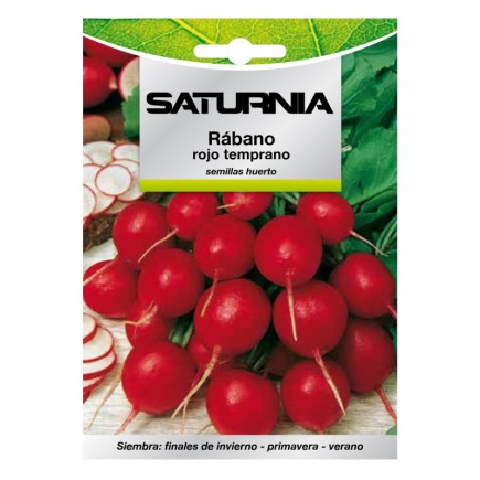 Semillas Rabano Rojo Temprano (8 gramos) Semillas Verduras, Horticultura, Horticola, Semillas Huerto,