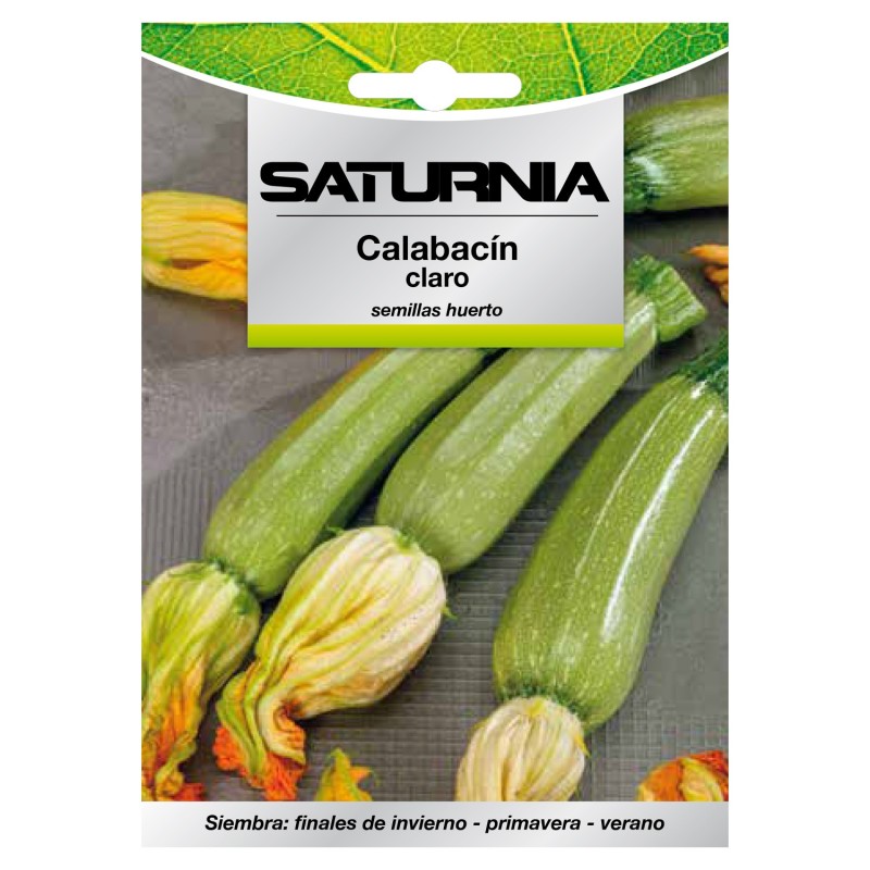Semillas Calabacin Claro (5 gramos) Semillas Verduras, Horticultura, Horticola, Semillas Huerto,