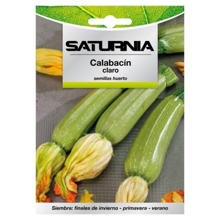 Semillas Calabacin Claro (5 gramos) Semillas Verduras, Horticultura, Horticola, Semillas Huerto,