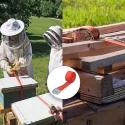 Cinta De Amarre Con Trinquete 2,5 metros x 25 mm, Trinquete Metalico Automatico, Cincha, Eslinga Mercancia, Correa Sujeción