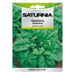 Semillas Espinaca Temprana (8 gramos) Semillas Verduras, Horticultura, Horticola, Semillas Huerto,