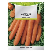 Semillas Zanahoria Nantes Temprana (7 Gramos), Semillas Verduras, Horticultura, Horticola, Semillas Huerto,