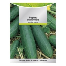 Semillas Pepino Marketmore (5 Gramos) Semillas Verduras, Horticultura, Horticola, Semillas Huerto,