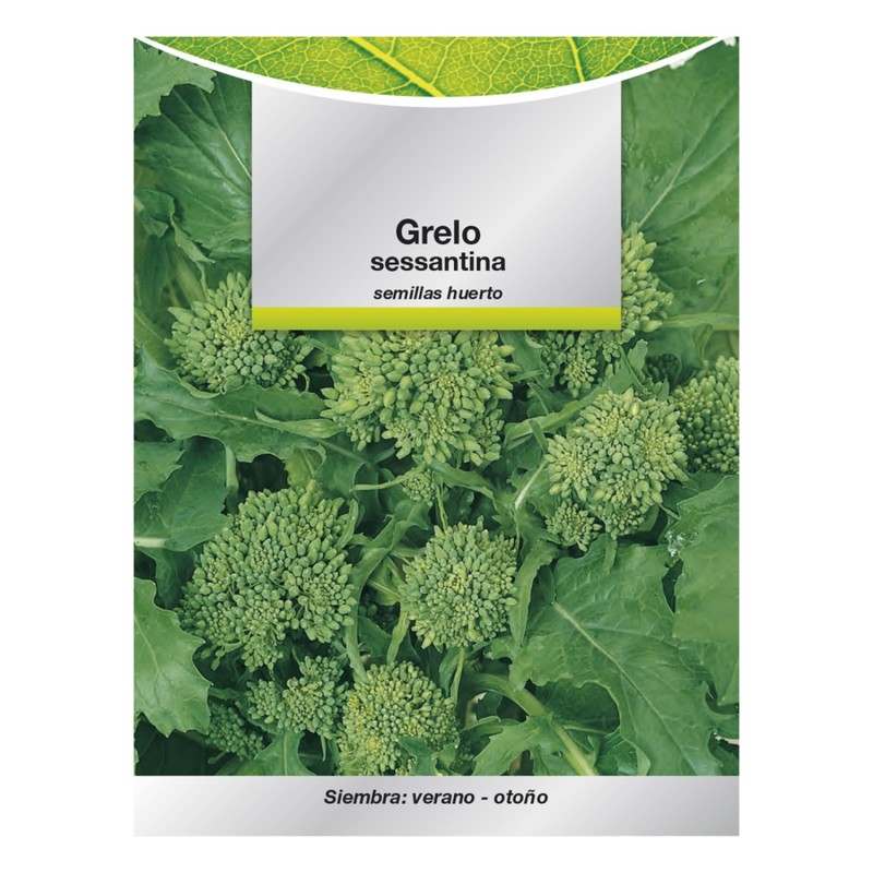 Semillas Grelo Brocoli (10 gramos) Semillas Verduras, Horticultura, Horticola, Semillas Huerto,