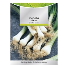 Semillas Cebolla Blanca (4 gramos) Semillas Verduras, Horticultura, Horticola, Semillas Huerto,