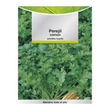 Semillas Perejil Comun (8 gramos) Semillas Verduras, Horticultura, Horticola, Semillas Huerto,