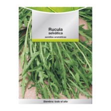 Semillas Aromaticas Rucula Selvatica (2,5 gramos) Horticultura, Horticola, Semillas Huerto,